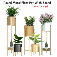 Plant Pot Plant Rack Golden Pot Tree Pot Flower Stand Nordic Wrought Iron Multi-Layer Flower Stand Creative Decoration
