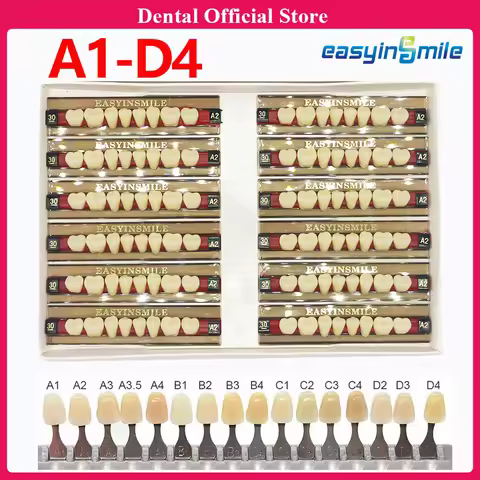 EASYINSMILE 84pcs 2 Layers A1 A2 A3 Acrylic Resin Denture Teeth Anterior Posterior Upper Lower Denta