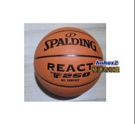 🈶現貨 SPALDING TF250 小學生5號籃球