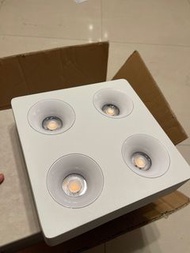 Philips LED 天花燈 (明裝COB射燈)