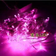 ♥遠見LED♥防潑水 LED聖誕燈 粉紅色/紫色 100燈珠 帶尾插可串接 串燈 戶外庭燈 裝飾燈 庭園燈 LED材料批
