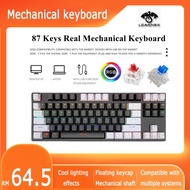 RGB Leaven键盘 RGB 87 Keys Mix Keycap Color True Mechanical keyboard/Keyboard/RGB Keyboard/PC Keyboard