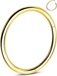 G23 Titanium Nose Ring Clicker Hoop Cartilage Earrings Silver Gold Helix Piercing Jewelry 20G Daith 