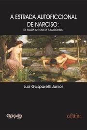 A estrada autoficcional de Narciso Luiz Gasparelli Junior