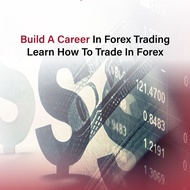 [TRADE LIKE PRO] Udemy: Build A Career In Forex Trading - Learn Fundamental Analysis (Tutorial Video