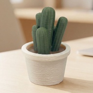 Cactus Clicker Fidget Toy