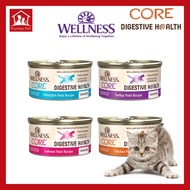 Wellness CORE Digestive Health Pate Wet Cat Food 3oz