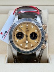 帝舵 TUDOR  BLACK BAY  79363N