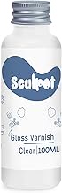 1DFAUL Clay Varnish for Air Drying Clay, 100ML Gloss Finish Air Dry Clay Glaze, High Gloss & Waterpr