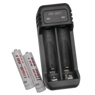 [特價]【PRO-WATT】ZN224E-55電池充電組(附4號充電電池2入)
