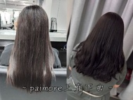 ♥️paimore上直下曲♥️