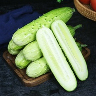 [Crispy Sweet Fruit Cucumber] Cucumber Seed Crispy Tender Fruit Cucumber Seedling Four Seasons Veget