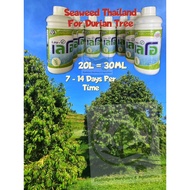 1L Durian Organic Seaweed 🇳🇱Thailand Lay-O / Organic Baja Foliar /榴莲专用