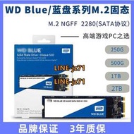 WD/西部數據Blue藍盤250G 500G西數固態硬盤M.2 2280 SATA協議SSD