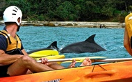 Byron Bay Sea Kayak Tour
