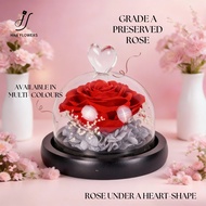 【Local Seller】Valentine Gift Preserved Rose Flower Glass Dome for Birthday, Anniversary Gift for Her