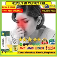 Medicine for Sense of Smell Disorders Anosmia Can't Smell of Propolis SM