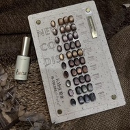 Set Kaise โทนน้ำตาล มูนไลท์ 10 สี สีเจล เล็บเจล