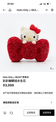 Hello Kitty x BEAST 野獸派 永生花 擺設Floral Arrangement