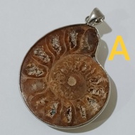 Ammonite pendant Shell Million-Year-Old Half Body Cut Half-Length Slit Clam Can Be Carried With You.