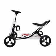 GOKART TRIBUTO TYPE G-101 PMB Mainan Anak Sepeda Gowes Roda 4