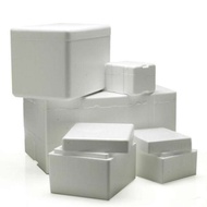 Styrofoam box cooler box/ frozen food box/ ice box/ drink box/ fish box/ frozen food styrofoam/