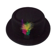 FEDORA FUR PIE HAT ROUND GOOSE FEATHER COOL