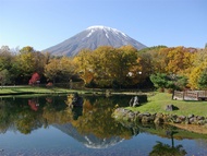 限定PLUS北海道旅遊｜全程無自理餐.升等螃蟹本家.函館纜車.小樽漫遊.溫泉美食函函五日｜搭乘星宇航空