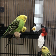 t Bird Feeder Pet Cage Hanging Automatic Food Bowl Drinking Water Dispenser Bekas Gantung Air Burung