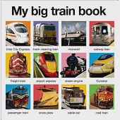 My Big Train Book