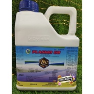 4L Plasmo 50 / Fipronil 5% / Racun Anai-anai yang tidak berbau / Sama Bureau 5.0SC / Fipest 5SC / Ba