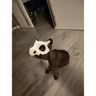 Dog and Cat Mask (Cubone from Pokémon)