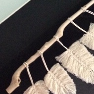 ️Natural wooden tree branches ️