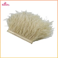 1 Yard Dyed Ostrich Feather Fringe Trim Ribbon Embellishment