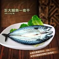 【築地一番鮮】 挪威當季鯖魚一夜干20尾(380g±10%/尾)