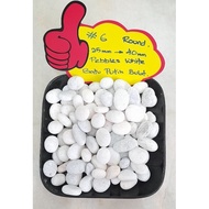 20kg, #6 round white stone lanskap hiasan taman, kepok kuburan, akuarium dll.. 25mm-40mm.. batu puti