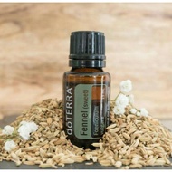 Fennel (Sweet Fennel Essential Oil) 15ml