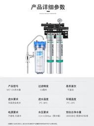 過濾器愛惠浦MC2雙聯咖啡店奶茶店制冰機mc2凈水器直飲機商用家用過濾器