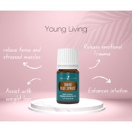 Young Living Idaho Blue Spruce Essential Oil 5ml - Oil Level 30%-60%