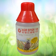 [ORIGINAL]500ML AGR EPGR 108 /Hormon nenas/Penggalak Buah nenas/Maxi PGR Ethephon 10.8%/Super Estres