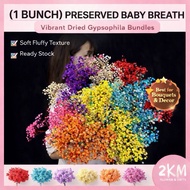(120G) PRESERVED BABY BREATH Gypsophila Dried Dry Bouquet Flower Plant Living Home Decor Decoration 