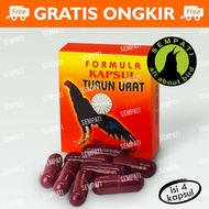 OBAT AYAM TURUN URAT FORMULA KAPSUL TURUN URAT ORIGINAL HOLOGRAM OBAT JAMU AYAM JAGO BANGKOK ADUAN K