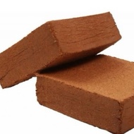 1 BLOCK COCOPEAT 45 liters only wet with water for planting