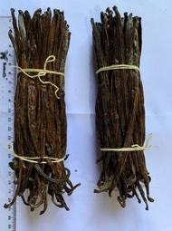 vanili kering 1kg - vanilla bean north sulawesi