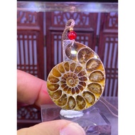 Premium Grade Ammonite crystal slab pendant (螺片)- 29.0g