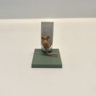 ［ 海洋堂 ］佐藤邦雄の動物たち「つれ◎◎◎」 扭蛋 CAPSULEQMUSEUM 小便扭蛋 屙尿扭蛋 動物小便扭蛋 動物屙尿扭蛋 動物們的小便時間 小便動物 屙尿動物 動物排排站 動物去廁所 老鼠屙