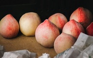 【預購！梨山超人氣的高山水蜜桃12顆裝(3~4兩/顆)】香甜飽滿又多汁 高山下的甜美桃子