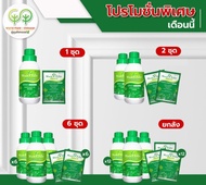 ปุ๋ยน้ำ โปร 369 ชุด คู่หูมหัศจรรย์ เวิลด์แพลนท์ ไคโตซาน World Plant Chitosan + สารเพิ่มประสิทธิภาพ