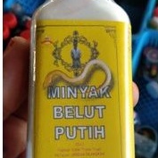 MINYAK PANAS BELUT PUTIH