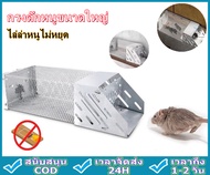 กรงดักหนู ดักต่อเนื่อง กรงดักหนูขนาดใหญ่ อัตโนมัติ กับดักหนู ที่ดักหนู ที่จับหนู แบบหนูไม่ต้องเจ็บตั